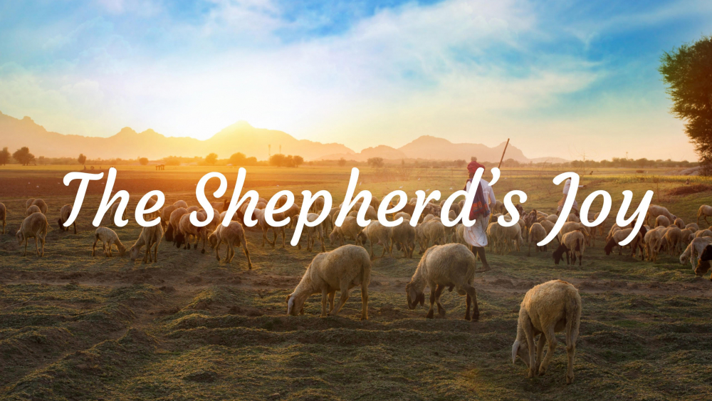 The Shepherd\'s Joy