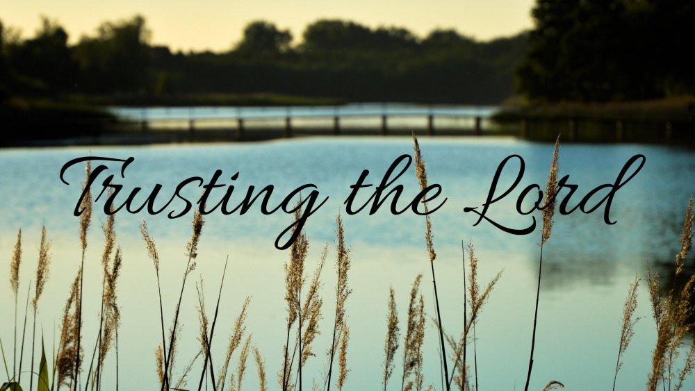 Trusting the Lord Image