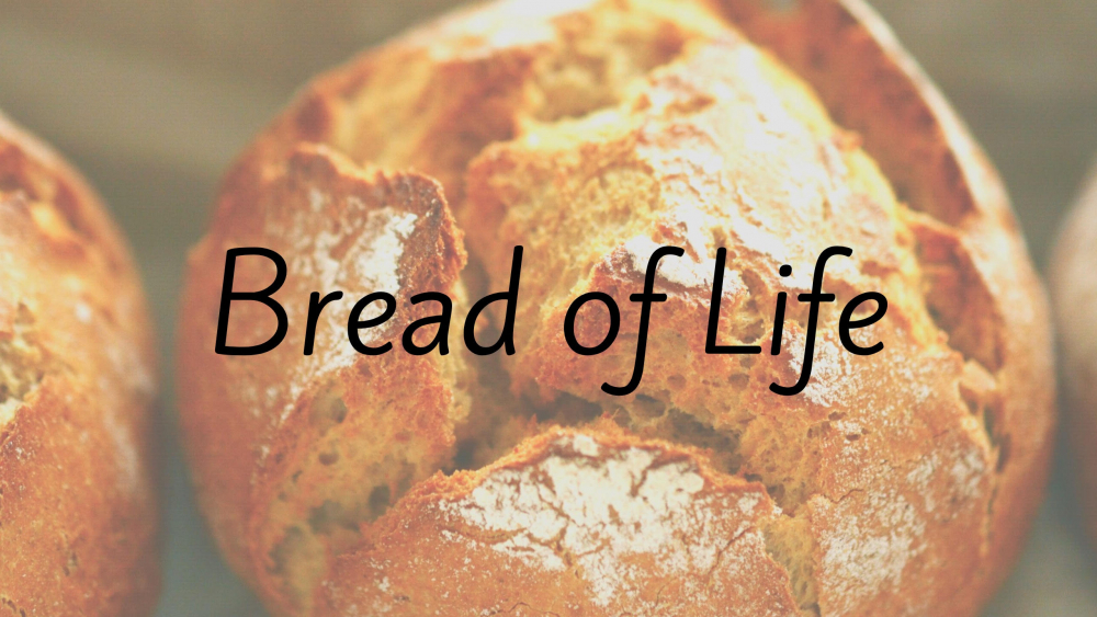 The Bread of Life Image