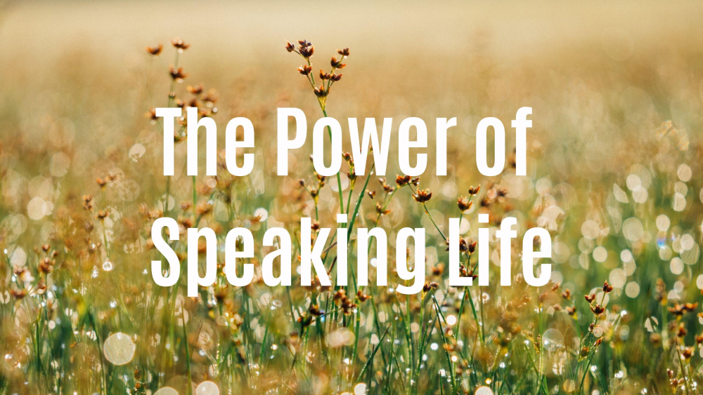 The Power of Speaking Life