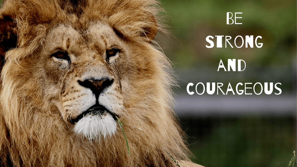 Be Strong and Courageous Image