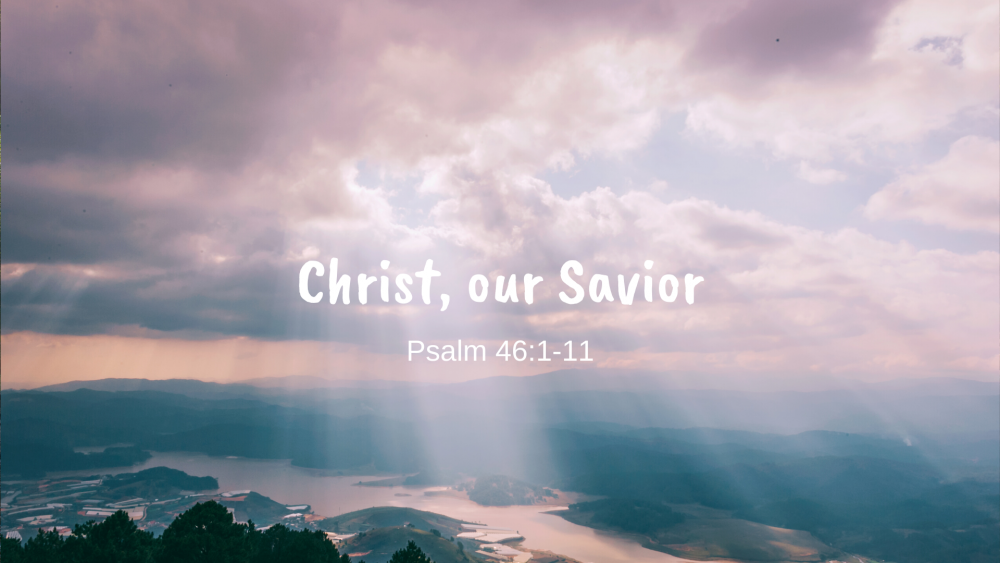 Christ, Our Savior Image