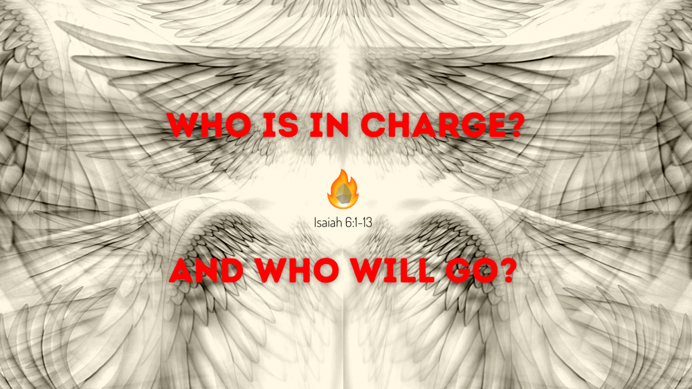 Who Is In Charge and Who Will Go? Image
