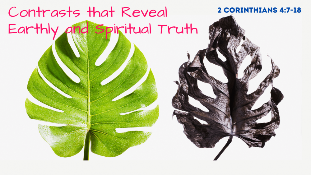 Contrasts That Reveal Earthly and Spiritual Truth Image