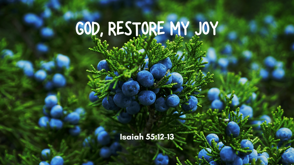 God, Restore My Joy Image