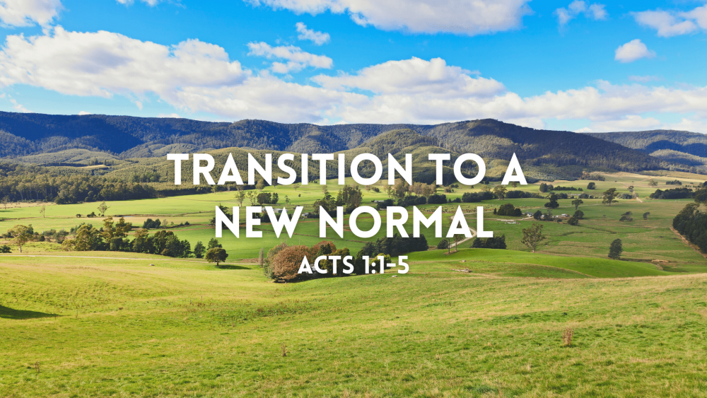 Transition to a New Normal Image